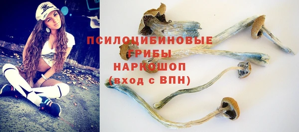 первитин Верхний Тагил