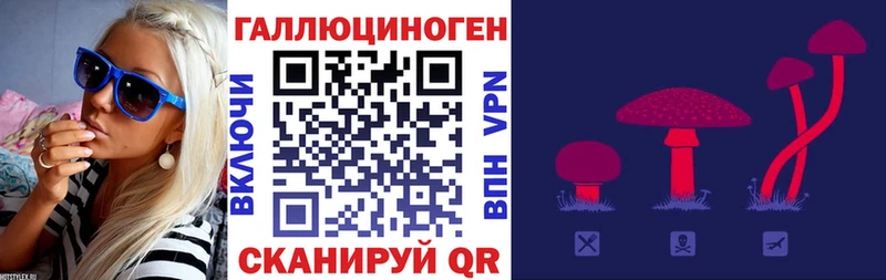 Псилоцибиновые грибы Cubensis  где купить наркоту  Ильский 